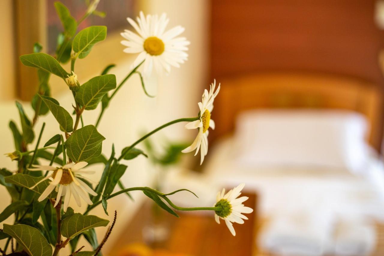 Hostal Uruhao Hanga Roa Esterno foto